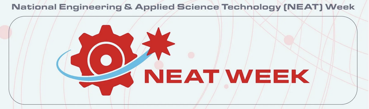 NEAT WEEK: FRIDAY Nov 28